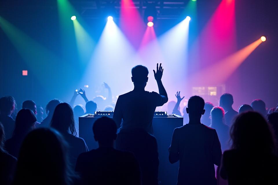 Organisation et animation d'événements musicaux et soirées DJ Lyon